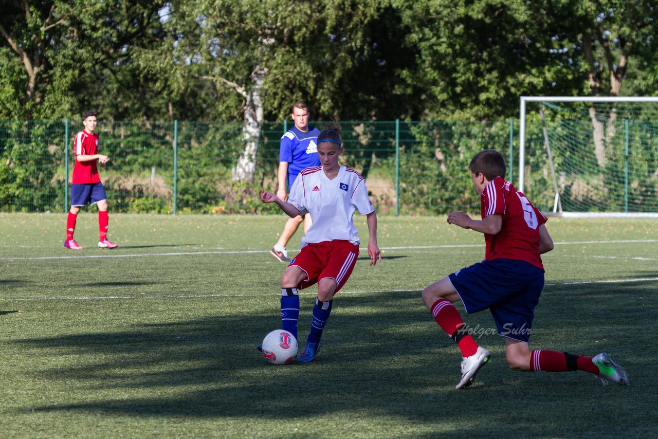 Bild 235 - Frauen HSV - cJun Eintracht Norderstedt : Ergebnis: 1:16